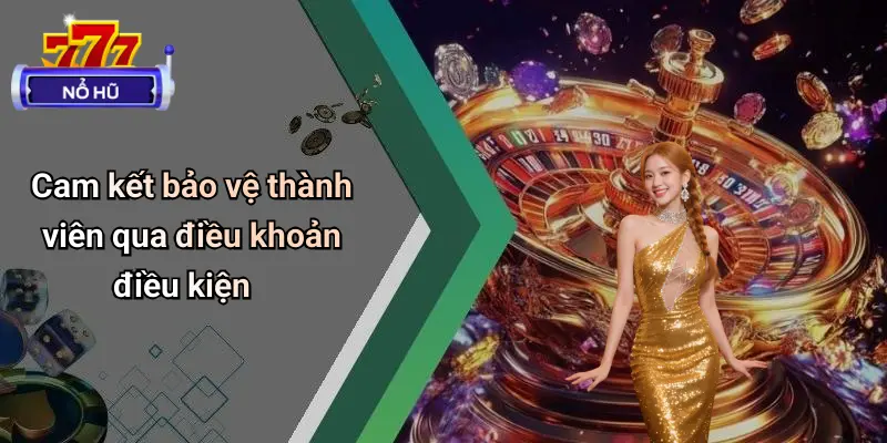 Điều Khoản Điều Kiện